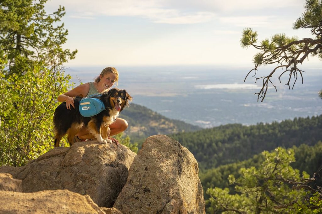 hiking summer activities for dogs