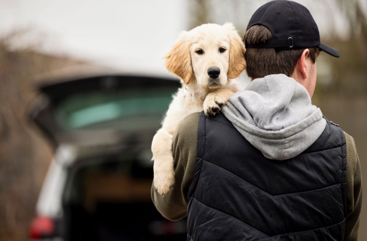 Dognapping Is on the Rise: Here’s How to Protect Your Pup