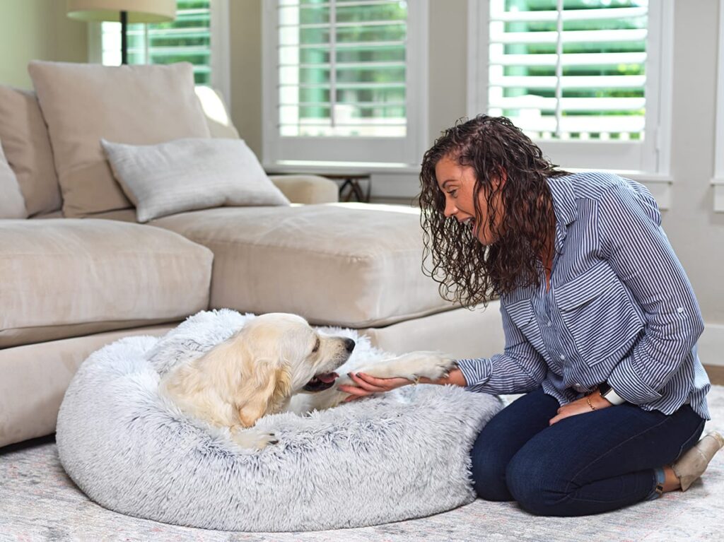 dog on bed with human