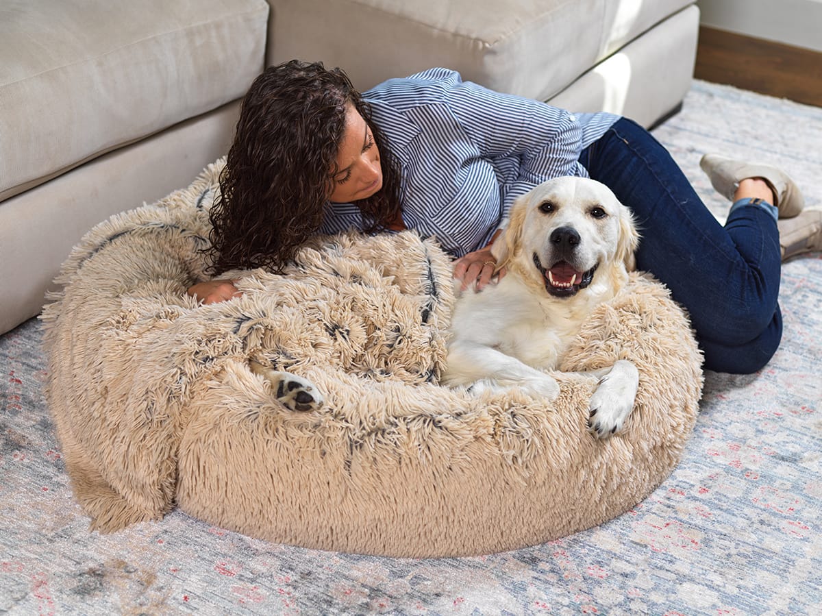 Dog bed big top enough for two