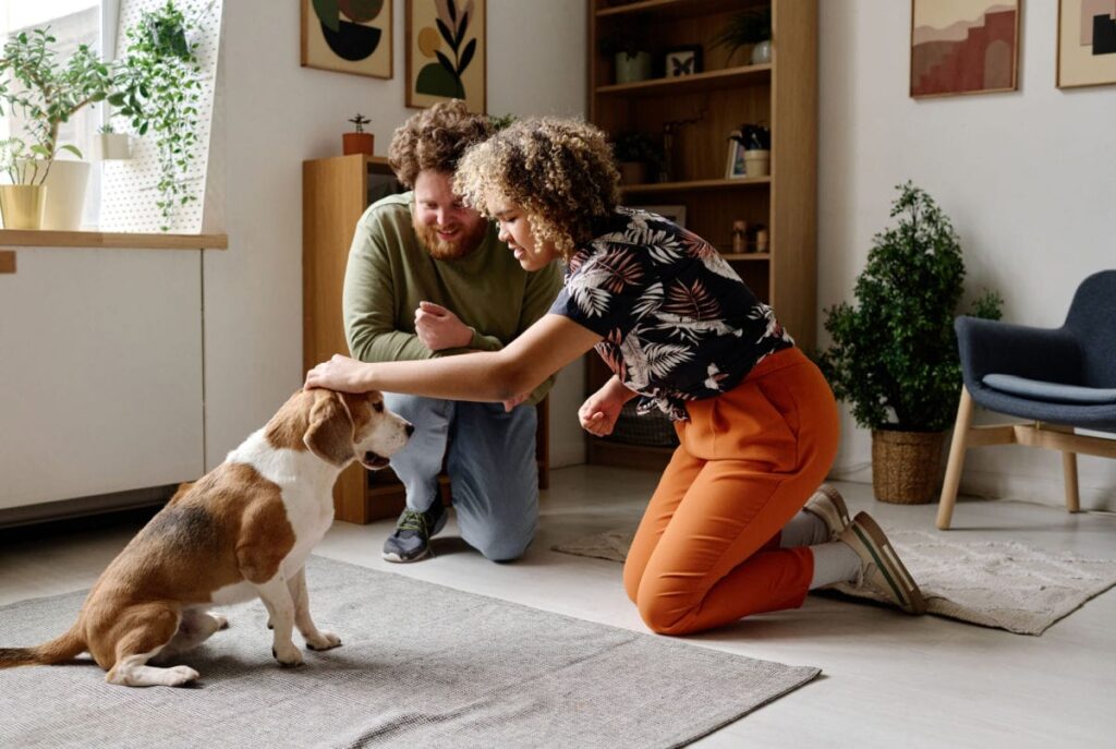 two people training a dog