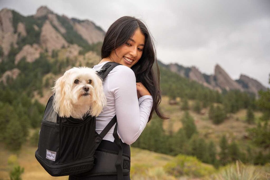 dog hiking in a backpack gifts for pet owners