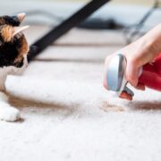 how to help a cat with a hairball