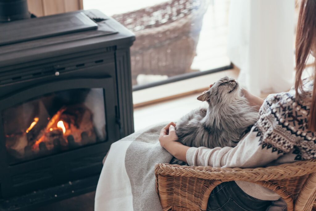 cat sitting by a fireplace