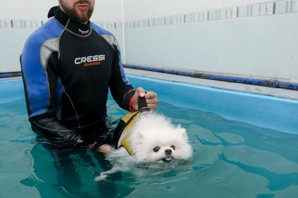 hydrotherapy for dogs
